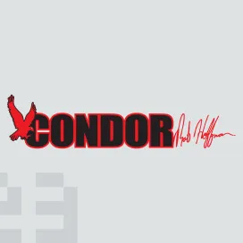 Hoffman bikes condor